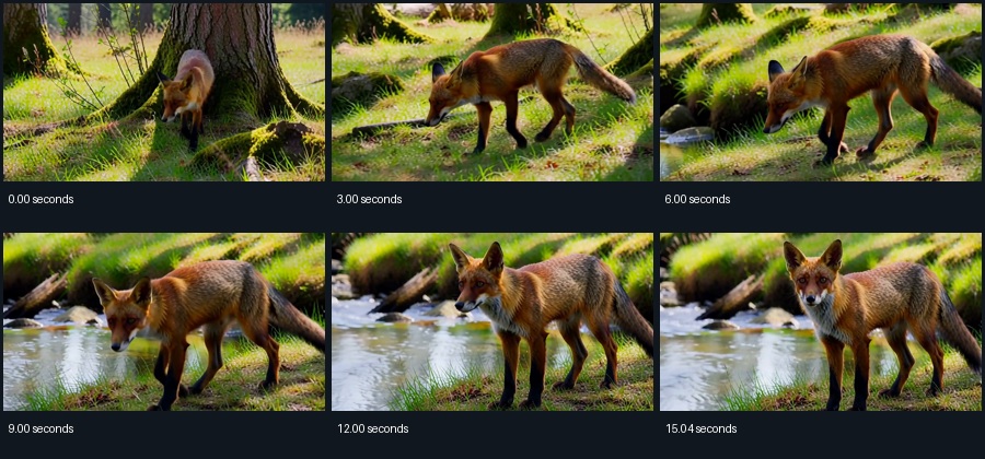 Six retained frames from the fox clip at approximately 0, 3, 6, 9, 12 and 15 seconds.