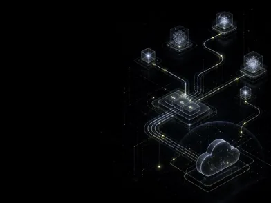 Provider API routing visual